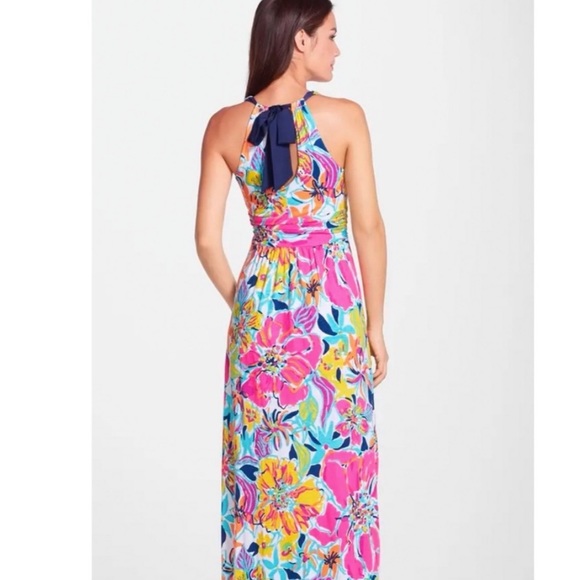 Barely worn Lily Pulitzer v-neck maxi dress, XS - Picture 3 of 10